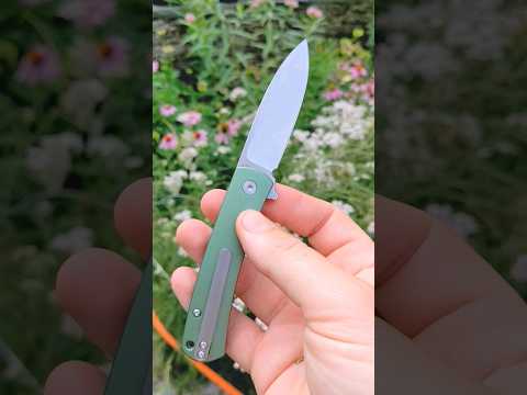 $59. 14c24n. QSP OEM. Kaviso Collaboration with Ray Laconico. this is excellent.   