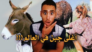 جبن الحمير، أغنى جبن في العالم ??