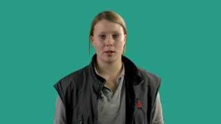 Essex Apprentice - Energy Sector Case Study