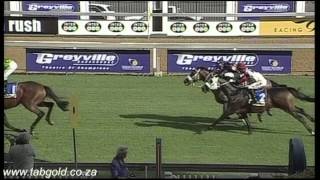 20150210 Greyville Race 7 won by SUGARBUZZ