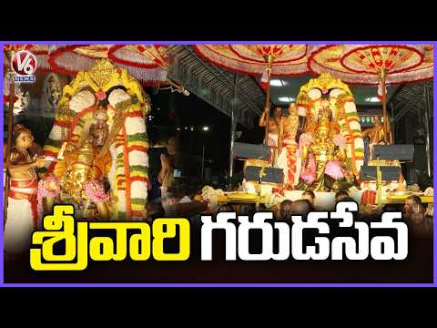 Pournami Garuda Seva Held Grandly In Tirumala | Lord Sri Malayappa Swamy  V6 News - V6NEWSTELUGU