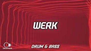 Pirapus - WERK (Lyrics)