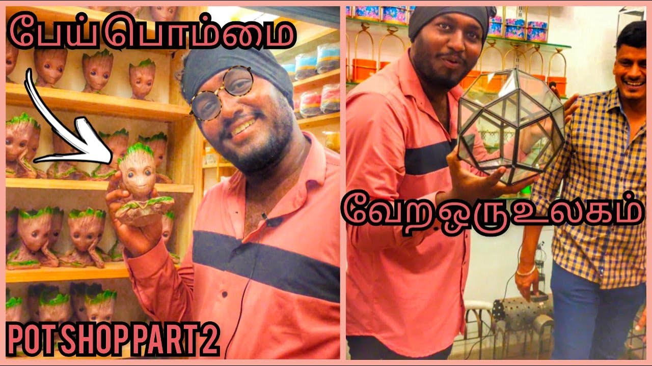 On the way vlog pot shop part 2 ornamental plants herbal plants