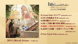 CD「Fate/Grand Order Orchestra performed by 東京都交響楽団」試聴動画