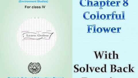|Class 4th|EVS|PSEB| Chapter 8 [Colorful Flowers]