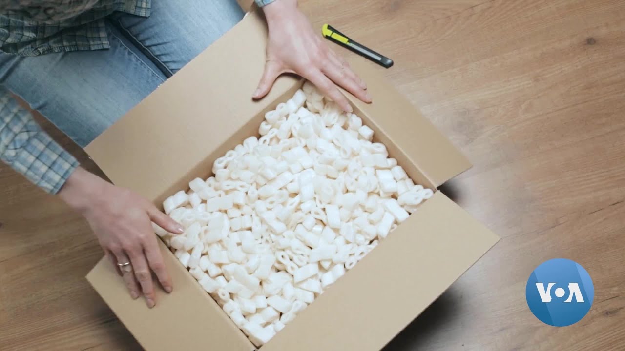 LogOn: Shellfish Exoskeletons: A Packaging Alternative to Toxic Plastic Foam