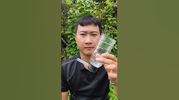 Make your own cheering trumpet #diy #craft #invention #diytoys #diy101 #trumpet