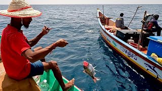 Plenty of Rosy Snapper Caught in Hand Line Fishing