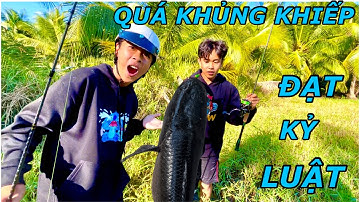 Lần Đầu Tiên  Huy Hoàng Và Fake Lure Cá Lóc Dính Được Cá Khủng Tại Đìa Bỏ Hoang |ATK