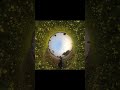 Insta 360 x3 Shot.