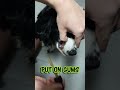 How to Use Dr Judy's Dental Drops