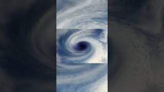 Trong Mắt Bão Có Gì ?