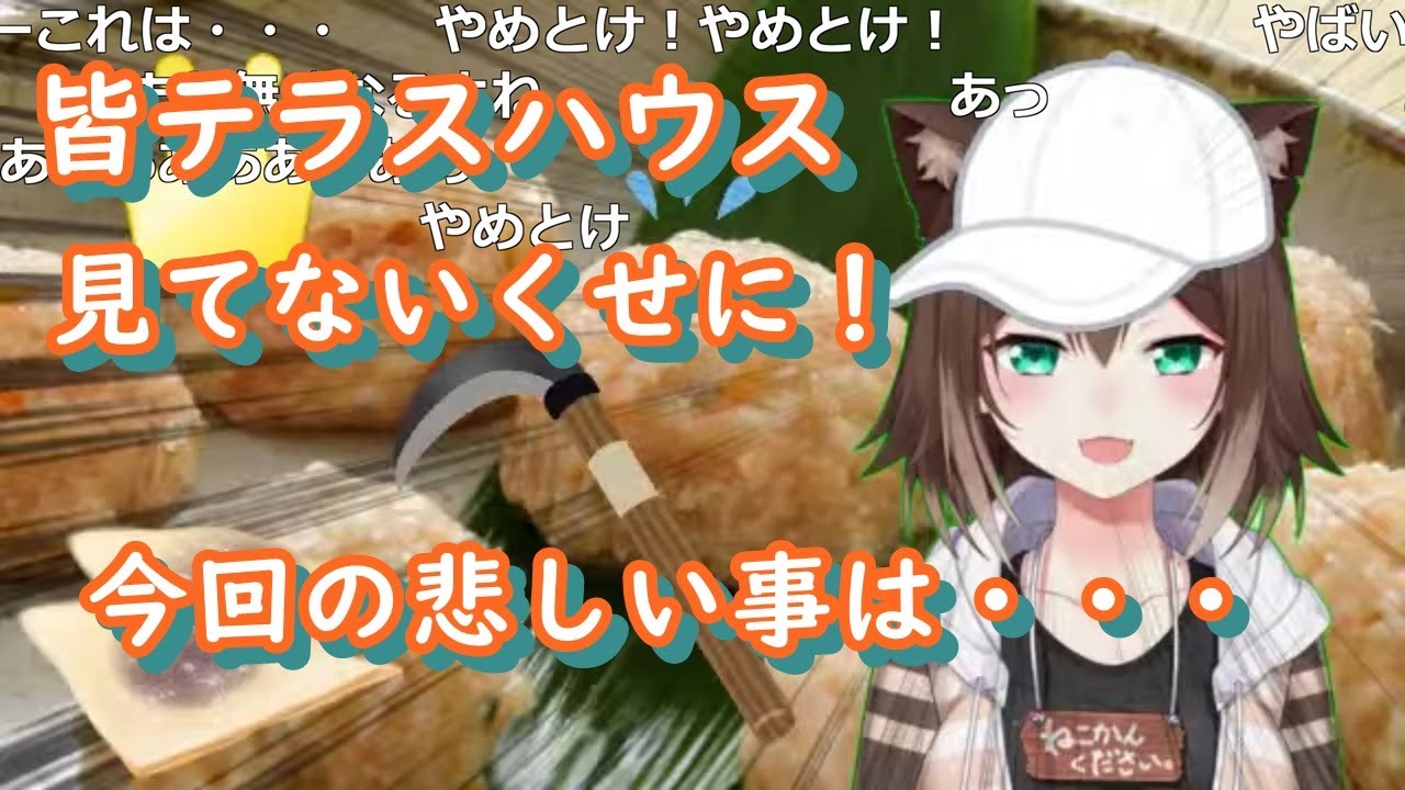 テラスハウス古参ガチ勢が誹謗中傷の件について真面目に話す。【文野環/にじさんじ/切り抜き/ふみのたまき】