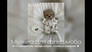 :    ||      ||  @KKIQMI