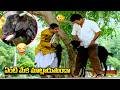 Rajendra Prasad Telugu Movie | Hilarious Comedy Scene | iDream Daily