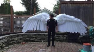 Articulated Pneumatic Wings