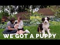 WE GOT A PUPPY!! | Picking up our 8.5 week Australian Shepard Puppy! 🐶💕