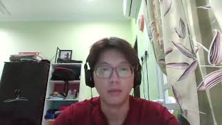 reflection pec 100
