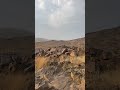 ياكم رعينى الغنم في هذي الجبال