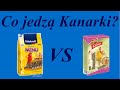 CO JEDZĄ KANARKI? Która karma jest najlepsza? - Poradnik na temat kanarków #16