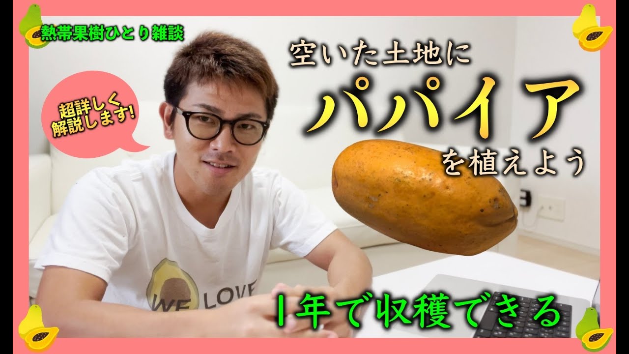 空いた土地に「パパイア」を植えよう！育て方から，生理的特徴，品種や遺伝子組み換えの話までとことん！