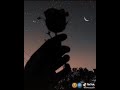ستاتي واتساب  