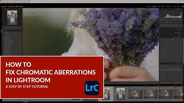 How To Fix Chromatic Aberration in Lightroom