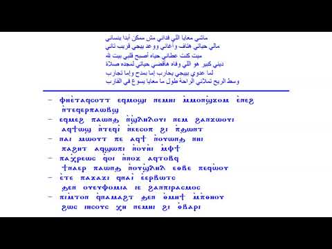 ماشى معايا اللى فدانى قبطى