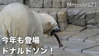 Take the Donaldson Trout!Polar Bear 特大ニジマス「ドナルドソン」をゲット