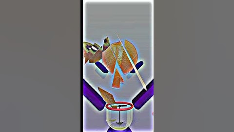 Best Android, iOS Games - Slice Master: Cut Vegetables