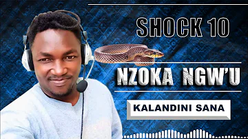 NZOKA NGW'U - SHOCK 10 (Official Audio) 🔥🔥🔥