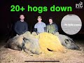 Thermal hog hunting pig problem inc