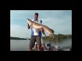 Jim saric the musky hunter at wiley point lodge