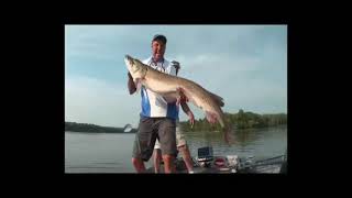 Jim Saric, The Musky Hunter, at Wiley Point Lodge