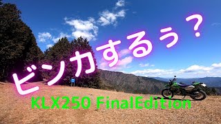 静岡の林道 川上嶺線 2021/3/15 KLX250 オフロード バイク 川根 オクシズ ツーリング ソロ