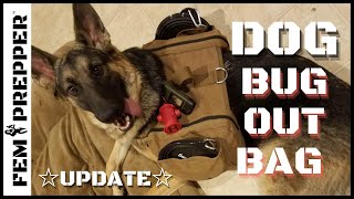 BUG OUT BAG FOR DOGS UPDATE ★ HIKING PACK FOR DOGS