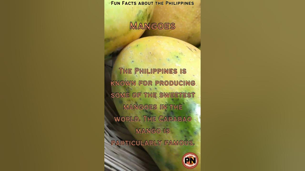 The Philippines is known for producing some of the sweetest mangoes in
