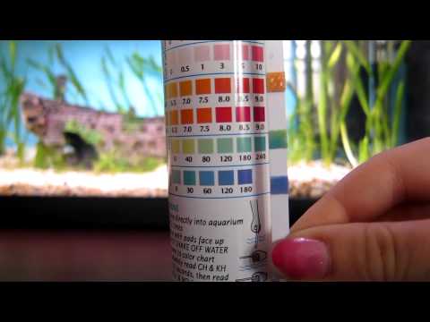 5 In 1 Aquarium Test Strips Chart