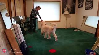 Building Awareness & Impulse Control