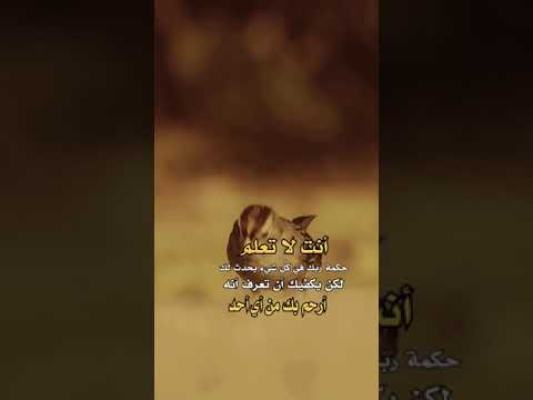 ستوريات انستا دينيه حالات واتساب دينيه جميله مقاطع قصيره دينيه ستوريات دينيه اقوال وحكم دينيه