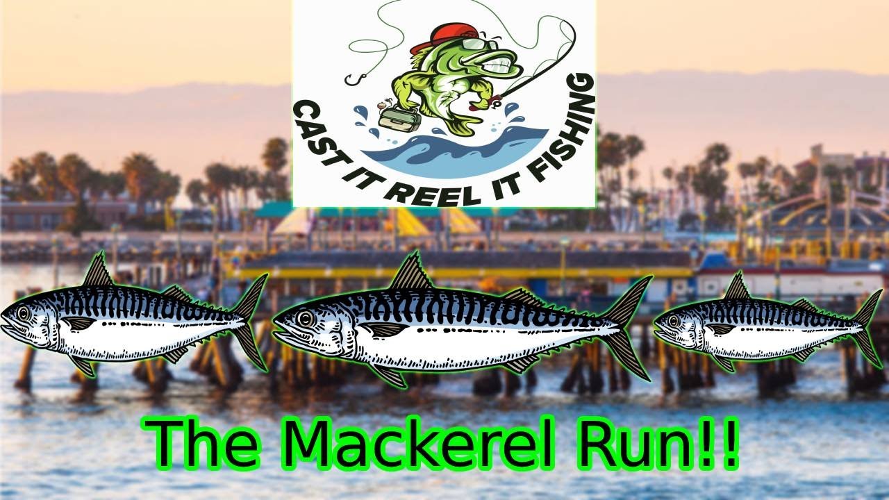 Pier Fishing Redondo Beach YouTube