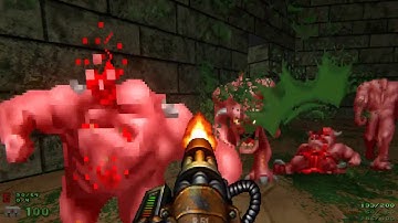 Doom - Reveil Weapon mod v2.0