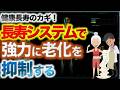 【長寿システムで強力に老化を抑制する】