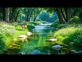 Исцелитесь эмоционально🌿 Натуральная исцеляющая музыка, избавьтесь от лишних мыслей, расслабьтесь