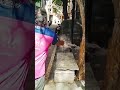 Successful borewell pump installation completed 💧🔧ಕೃಷಿಕರ ಸೇವೆಗೆ ಸದಾ ಸಿದ್ಧ 🚜💦Quality work by us