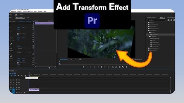 How to Add Transform Effect on Premiere Pro [NEW]