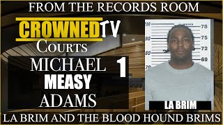 Micheal Adams testifies about La Brim leaving the 59 Brims and starting Blood Hound Brims set