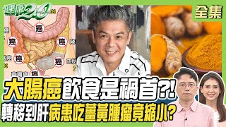 港星患直腸癌大腸癌轉移肝臟吃薑黃腫瘤竟縮小痔瘡or大腸癌 醫教你從血便分辨 健康2.0 20240414【完整版】江坤俊 韋汝 錢政弘 王健宇 吳明珠 劉怡里 雷議宗@tvbshealth20