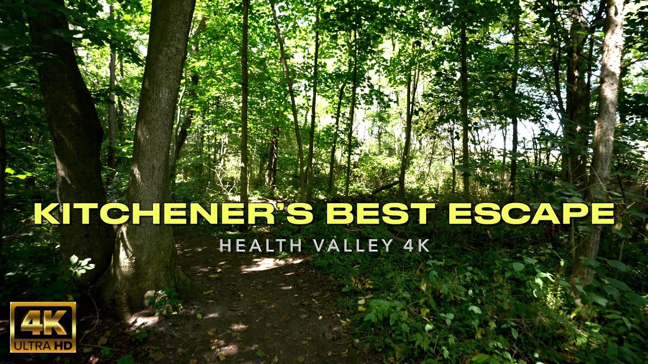 St. Jacobs Health Valley Trail: 4K Cinematic Forest Walk | Tamron 17-28mm