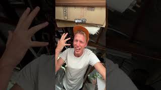 Searching For Spiders In My Australian Home